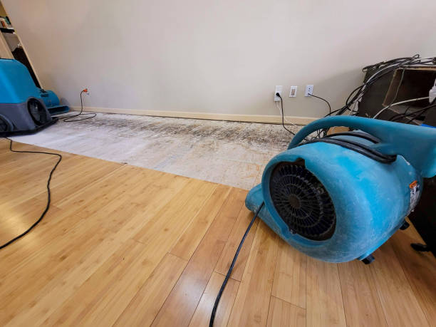 Professional Structural Drying technician working in Fairburn, GA